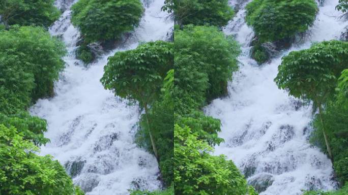 大自然丛林流水瀑布