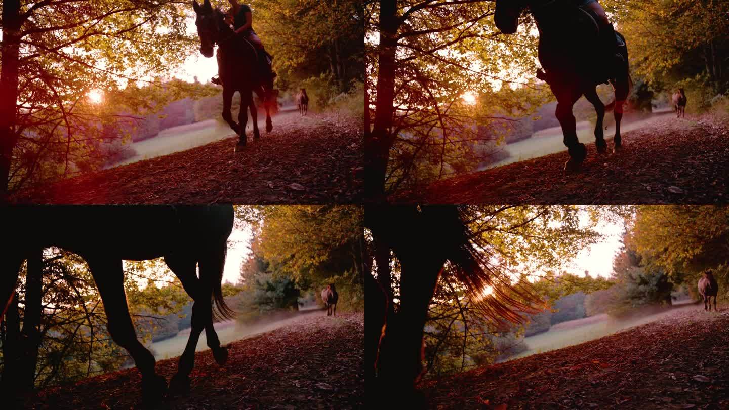 慢镜头，镜头光晕:美丽的秋天早晨，年轻的女士骑在马上