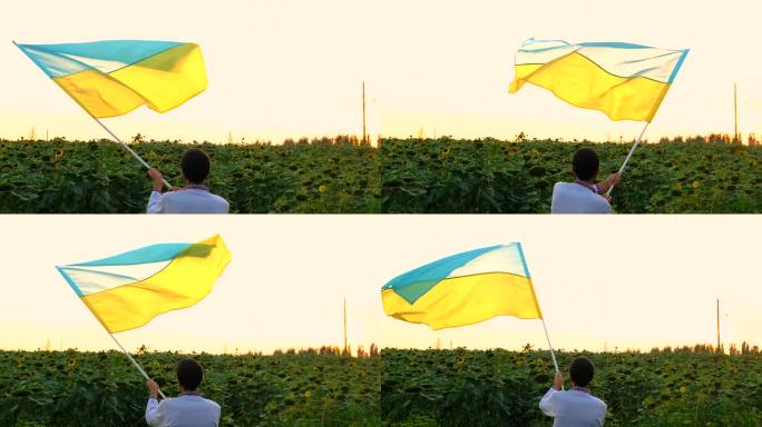 一个拿着乌克兰国旗的人站在向日葵地里。有选择性的重点。大自然。