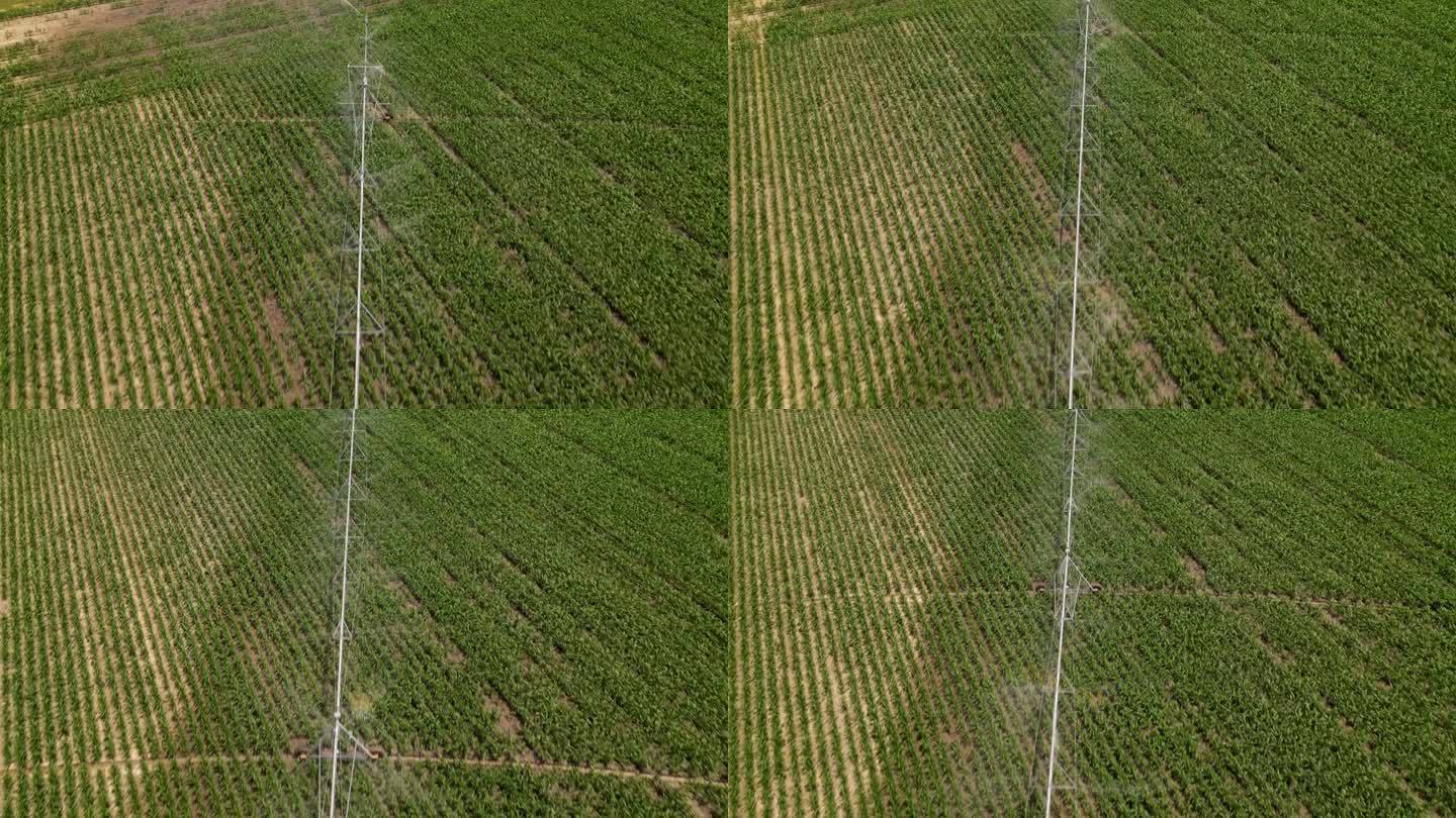 农用麦田喷灌系统