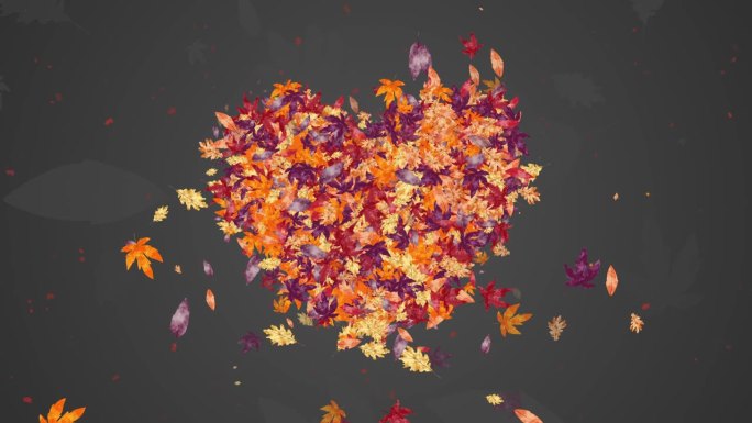 秋天的黄色和红色的叶子形状的心。动画树的叶子在灰色抽象循环的背景。