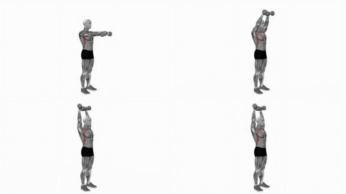 哑铃站立同时前举高于头部健身运动锻炼动画男性肌肉突出演示4K分辨率60 fps