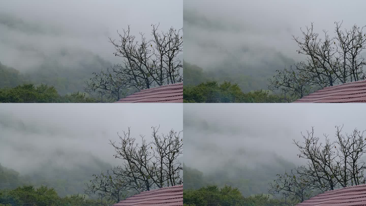 初秋雨中山脉云雾缭绕的绝美自然风光