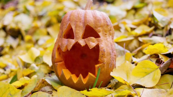 万圣节可怕的南瓜，在秋天落下来的黄叶上雕刻着眼睛和嘴巴