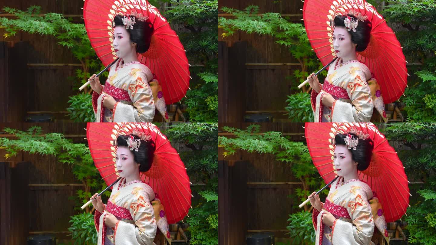 京都祗园舞妓的图片照片