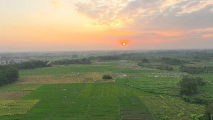 印度尼西亚巴厘岛，无人机拍摄的稻田清晨日出景象