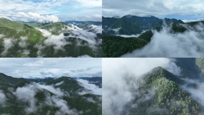 航拍秦岭大山云海