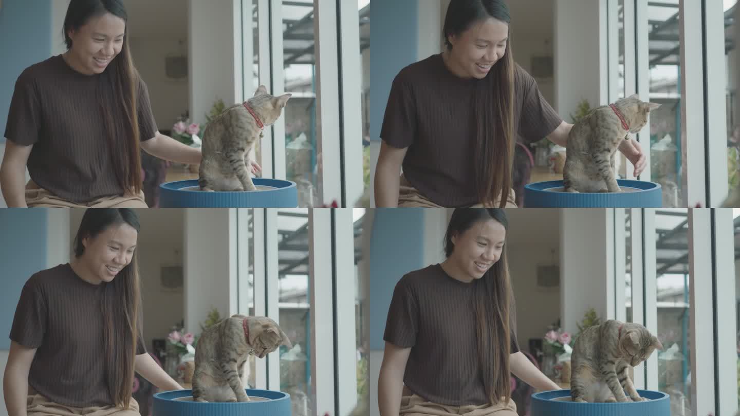 东南亚妇女在家与猫玩耍