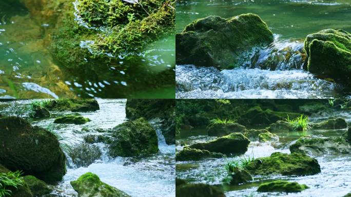 大自然溪水青苔水流清澈流水山泉水
