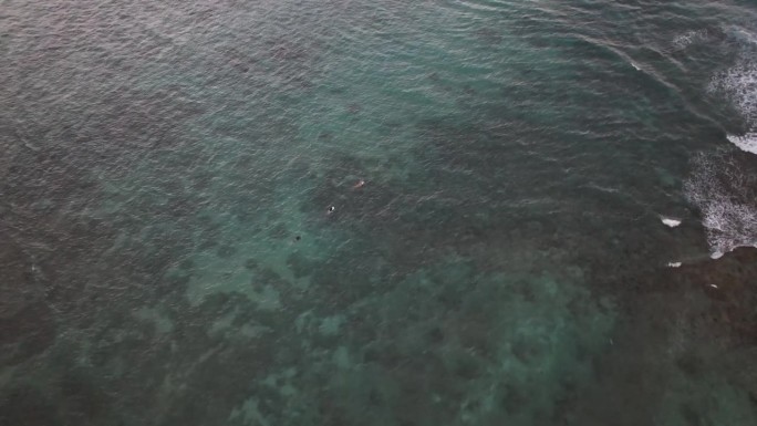 夏威夷钻石头海滩冲浪者