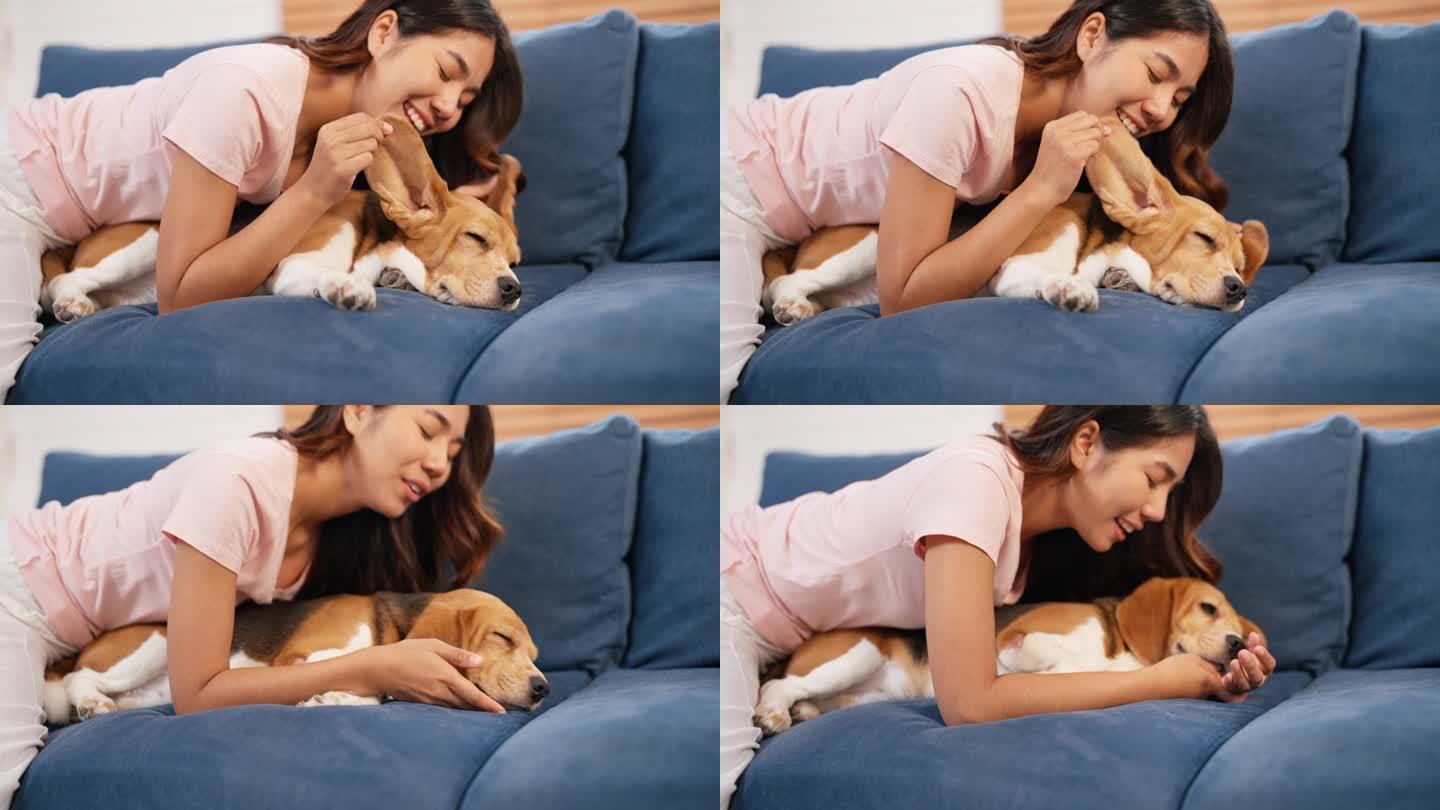 一位年轻的亚洲成年女子在客厅的沙发上小睡时，正在逗她的小猎犬。