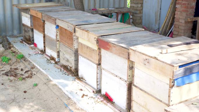 生态养殖 蜂箱