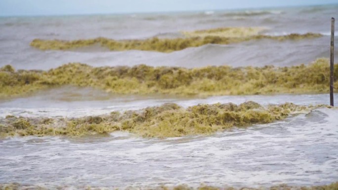 大海里的大浪打在沙滩上，海水浑浊。