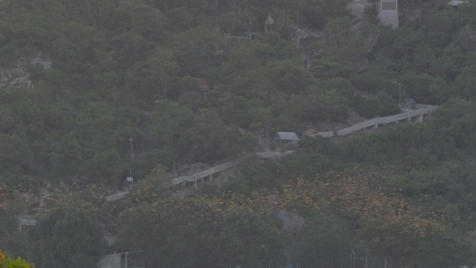 蝙蝠从洞穴飞向天空。