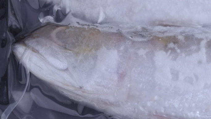 保鲜膜里的冻鱼正在解冻。