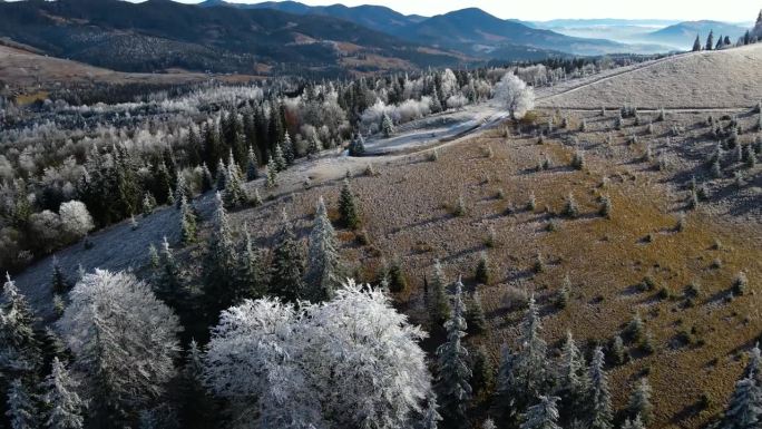 冬季森林自然白雪覆盖的冬季树木高山景观清晨日出假日旅游霜冻的树顶鲜艳的色彩空中4k