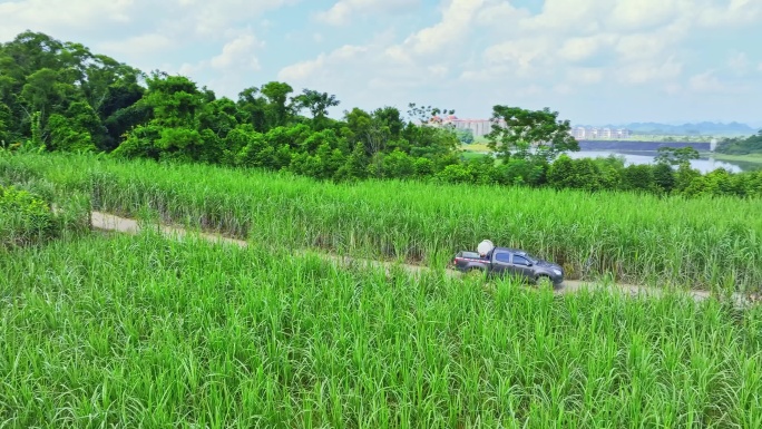 航拍广西甘蔗种植区乡间小路