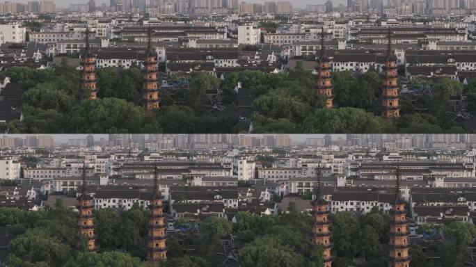 苏州 双塔 近景 鸽子 夕阳