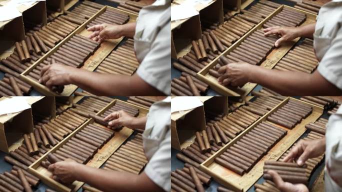 近距离慢镜头，黑人女性的手把刚卷好大小的雪茄放在木托盘里，等待贴上标签和装盒。优质手工古巴雪茄工厂