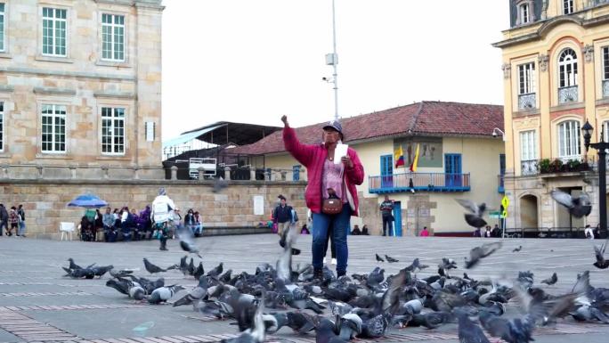 一名妇女在波哥大的玻利瓦尔广场喂鸽子