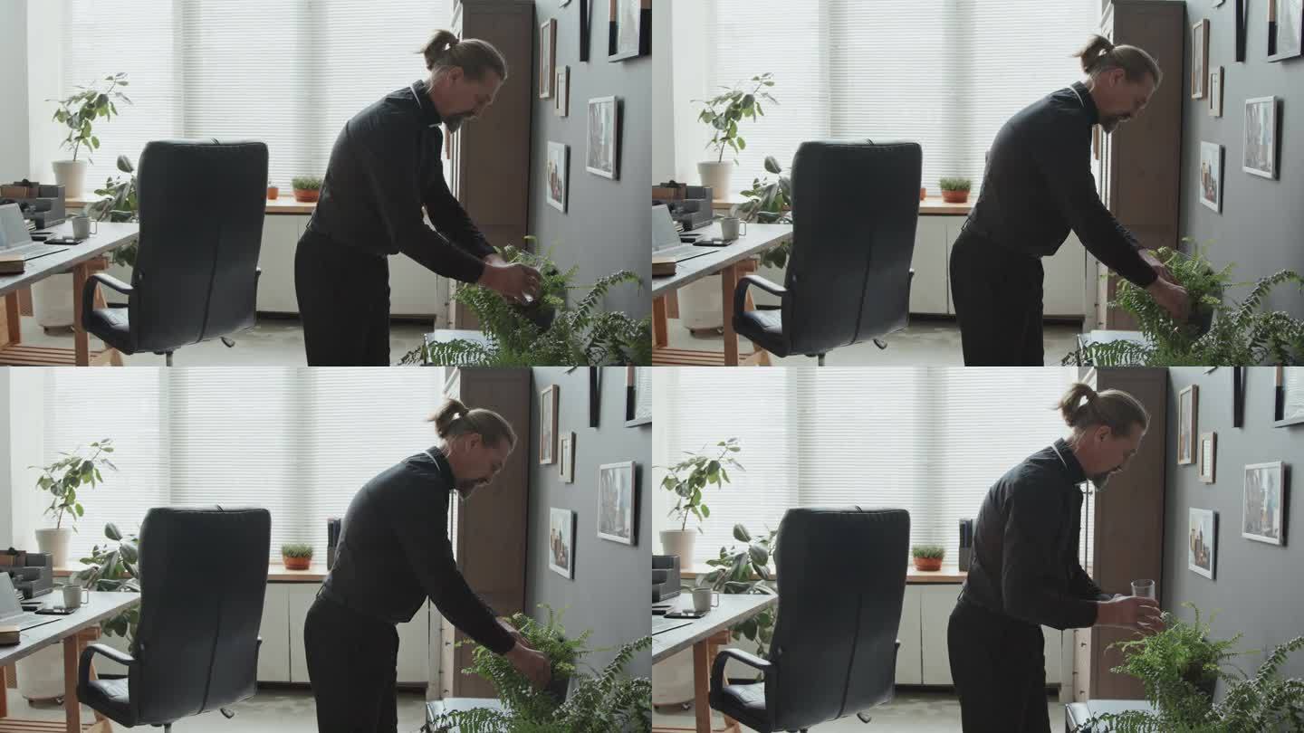 天主教牧师在办公室给室内植物浇水
