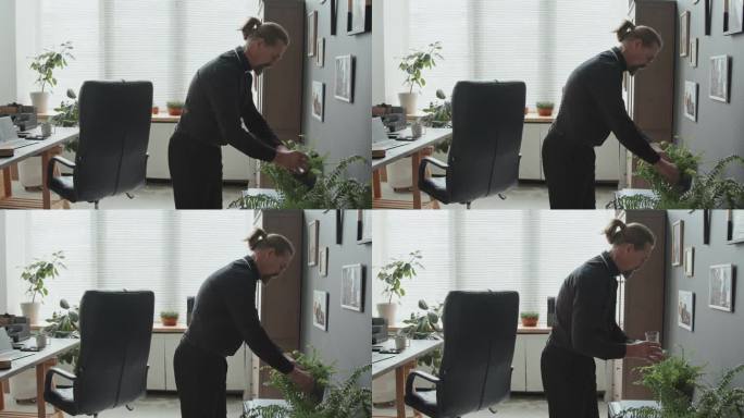 天主教牧师在办公室给室内植物浇水