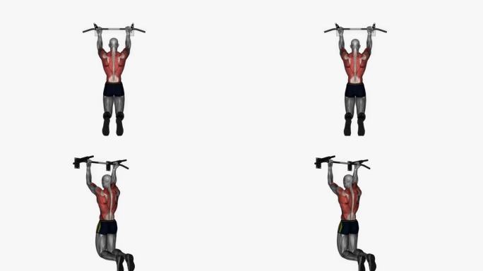 仰卧起坐反向宽握健身运动锻炼动画男性肌肉突出演示4K分辨率60 fps