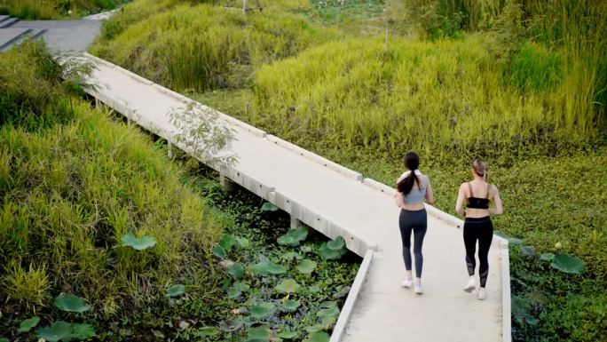 后视图:两位美女在草地上跑了很久或慢跑后，在人行道上散步或跑步。美丽女孩的积极思考和自爱。绿树防腐区