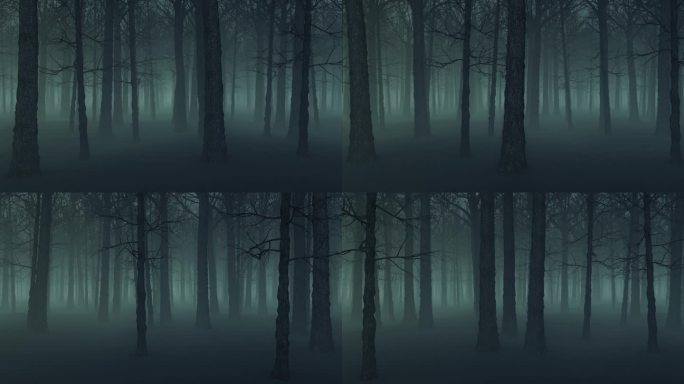 循环动画万圣节3D背景雾森林在晚上