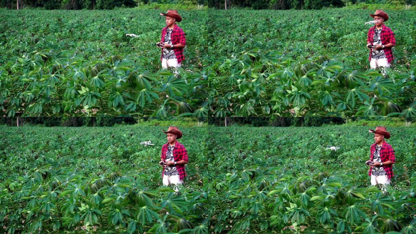 农民用数字平板电脑控制无人机农业技术在玉米苗田