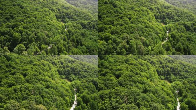 拜登山路氧吧空气清新环保