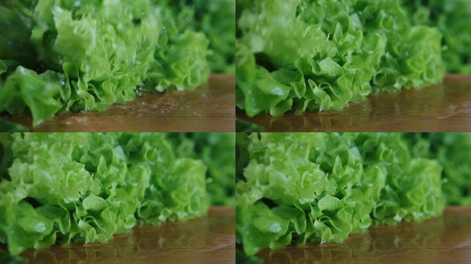 湿漉漉的新鲜生菜叶子落在厨房的木桌上。卷叶绿叶沙拉滴着水珠