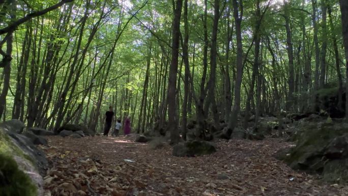 一个带着两个孩子的家庭在森林里散步的视频片段