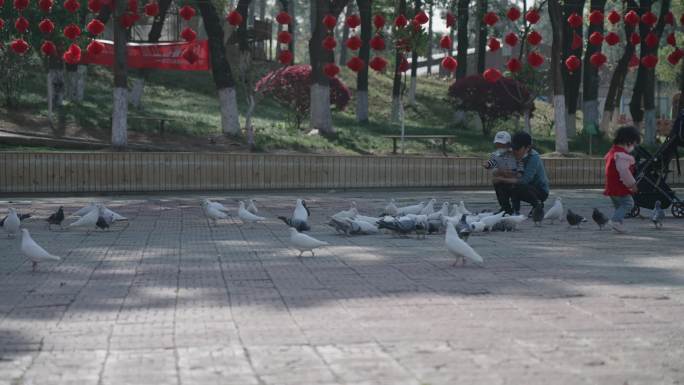 武汉光谷九峰森林动物园鸽子广场女生喂鸽子