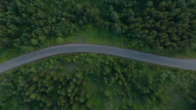 鸟瞰图，正对着一条蜿蜒的乡村道路，两边都是树木