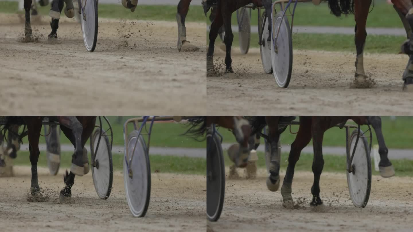 低节拍摄马蹄和车轮的sulkies赛车在一个肮脏的赛道
