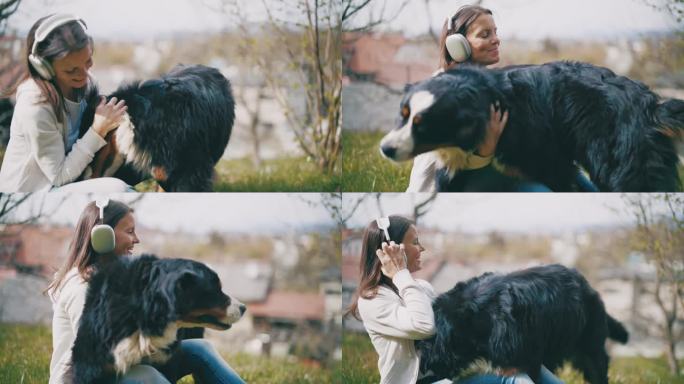 戴着耳机在公园里抚摸伯尔尼山狗的快乐女人