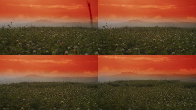 托斯卡纳，黄昏时分，橙色天空下田园诗般的草地上生长的花朵