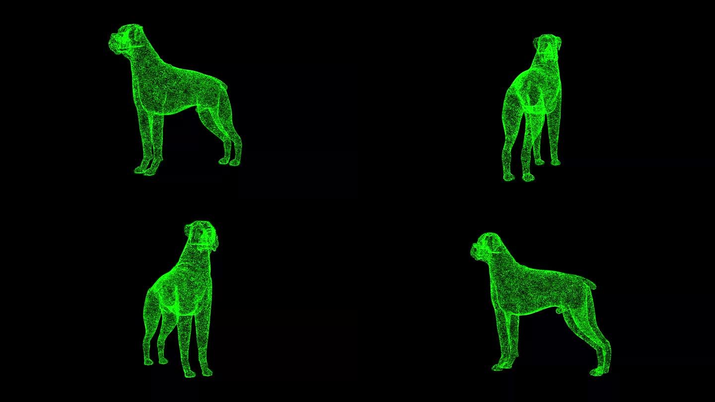 3D狗在黑色背景上旋转。用于标题，文本，演示。3d动画60 FPS。