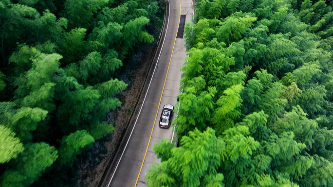 行驶在山林树林竹林的轿车