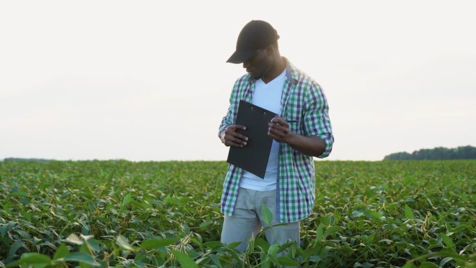 一位黑人农民在大豆地里，在写字板上写字，检查庄稼的质量和生长情况