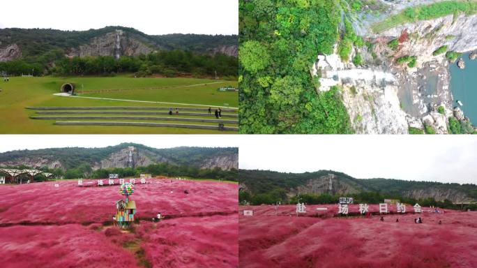 航拍南京汤山矿坑公园粉黛子草