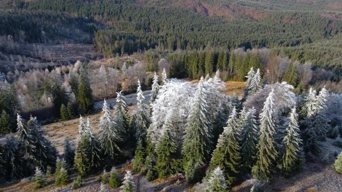 冬季森林自然白雪覆盖的冬季树木高山景观清晨日出假日旅游霜冻的树顶鲜艳的色彩空中4k