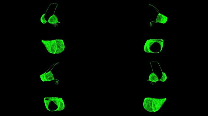 3D比基尼泳衣旋转黑色bg。3D时装秀。一款新潮时尚的内衣。用于标题，文本，演示。由闪闪发光的微粒构