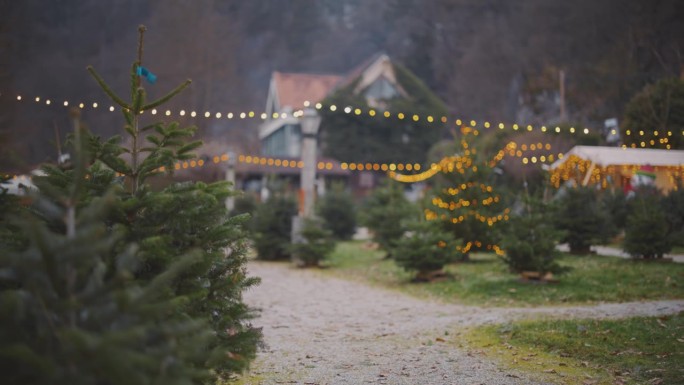 一个有圣诞树市场的田园诗般的村庄