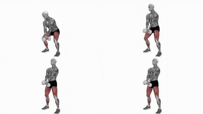 哑铃杆握相扑深蹲健身运动锻炼动画男性肌肉突出演示4K分辨率60 fps