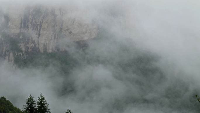 4K拍摄云雾缭绕的峡谷
