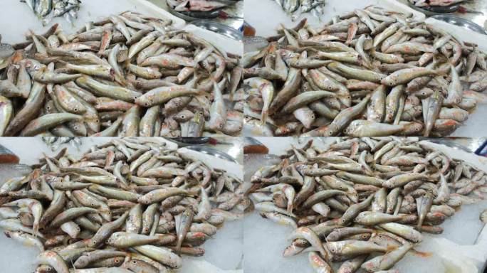 海鲜市场上新鲜的红鲻鱼