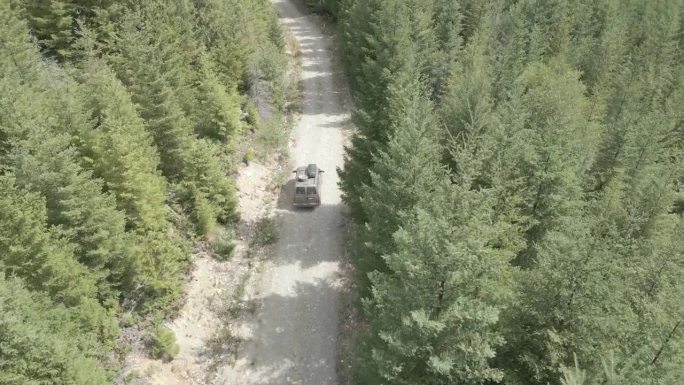 无人机拍摄的穿过森林的车辆
