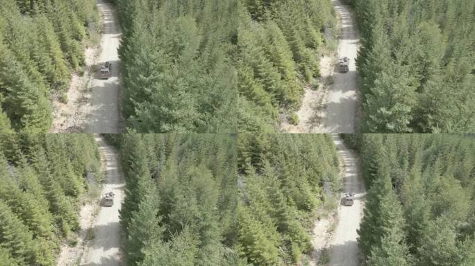 无人机拍摄的穿过森林的车辆